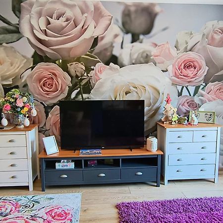 Sweet Garden Residence Brasov Ngoại thất bức ảnh