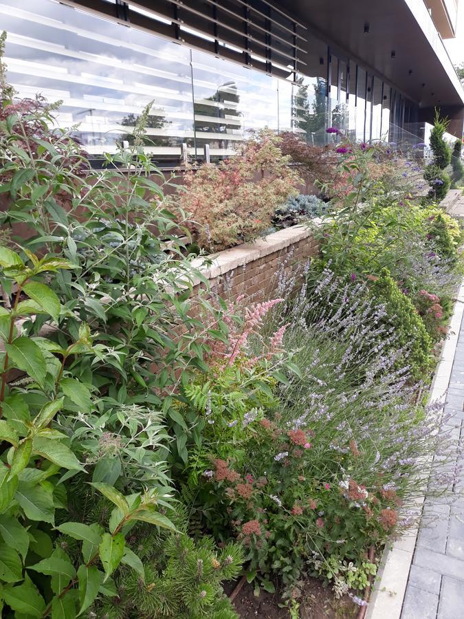 Sweet Garden Residence Brasov Ngoại thất bức ảnh